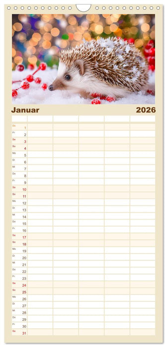 Mein Igel-Kalender (CALVENDO Familienplaner 2026)