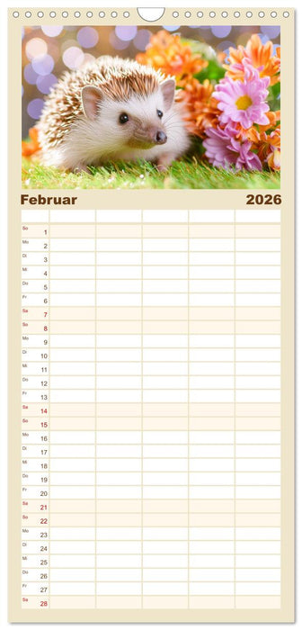 Mein Igel-Kalender (CALVENDO Familienplaner 2026)