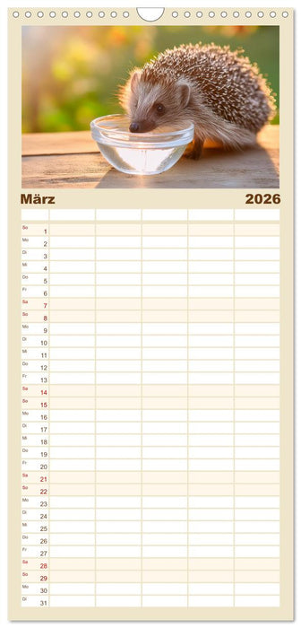 Mein Igel-Kalender (CALVENDO Familienplaner 2026)