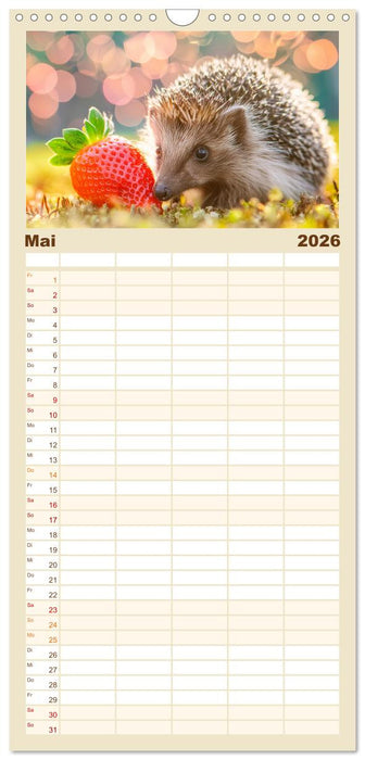 Mein Igel-Kalender (CALVENDO Familienplaner 2026)