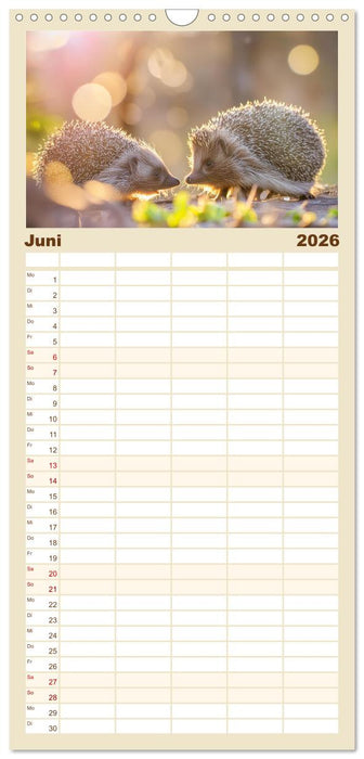 Mein Igel-Kalender (CALVENDO Familienplaner 2026)