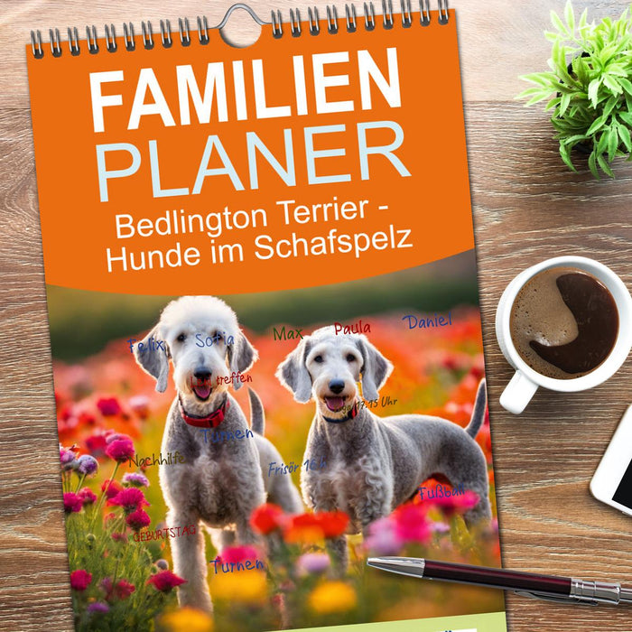 Bedlington Terrier - Hunde im Schafspelz (CALVENDO Familienplaner 2026)