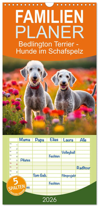 Bedlington Terrier - Hunde im Schafspelz (CALVENDO Familienplaner 2026)