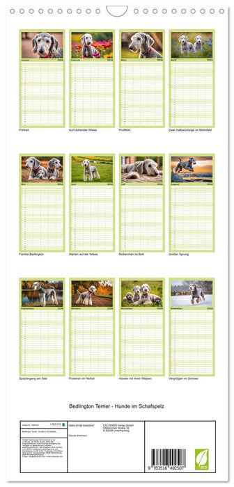 Bedlington Terrier - Hunde im Schafspelz (CALVENDO Familienplaner 2026)