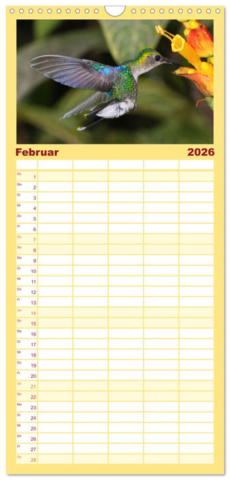Kolibris; Anmut, Schönheit, Farben (CALVENDO Familienplaner 2026)