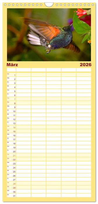 Kolibris; Anmut, Schönheit, Farben (CALVENDO Familienplaner 2026)