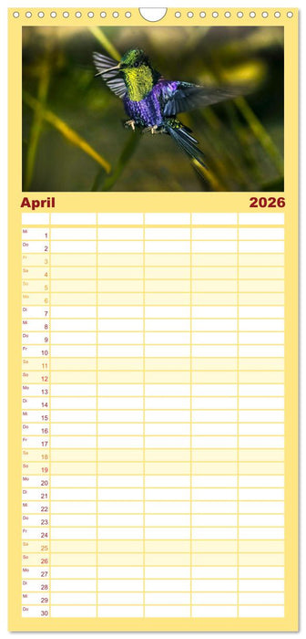Kolibris; Anmut, Schönheit, Farben (CALVENDO Familienplaner 2026)