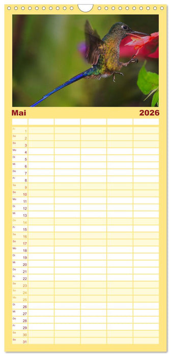 Kolibris; Anmut, Schönheit, Farben (CALVENDO Familienplaner 2026)