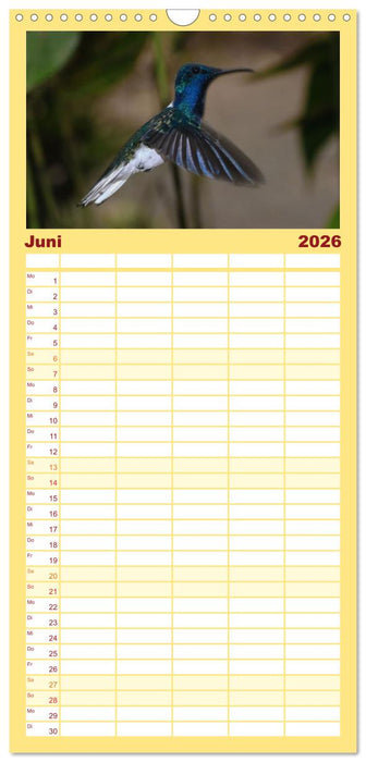 Kolibris; Anmut, Schönheit, Farben (CALVENDO Familienplaner 2026)