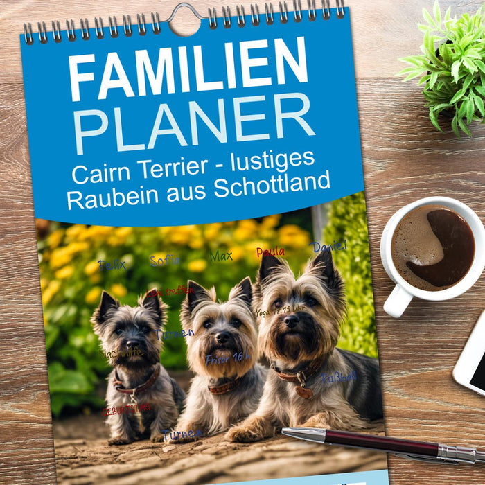 Cairn Terrier - lustiges Raubein aus Schottland (CALVENDO Familienplaner 2026)