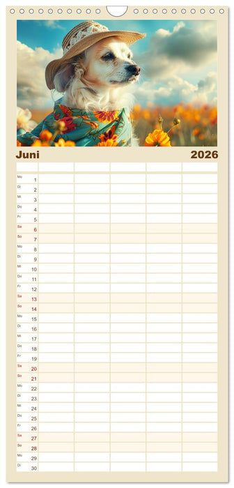 Elegante Modenschau auf dem Land. Bauernhoftiere als Fashion-Ikonen (CALVENDO Familienplaner 2026)