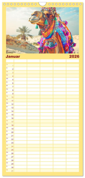 Modische Kamele in der Wüste. Extravagante Highlights (CALVENDO Familienplaner 2026)