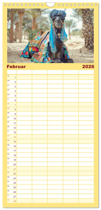 Modische Kamele in der Wüste. Extravagante Highlights (CALVENDO Familienplaner 2026)