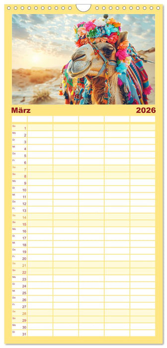 Modische Kamele in der Wüste. Extravagante Highlights (CALVENDO Familienplaner 2026)