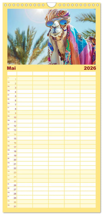 Modische Kamele in der Wüste. Extravagante Highlights (CALVENDO Familienplaner 2026)