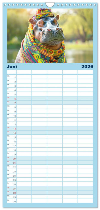 Big & Beautiful. Tierische Plus Size Models. Elefanten und Co. (CALVENDO Familienplaner 2026)