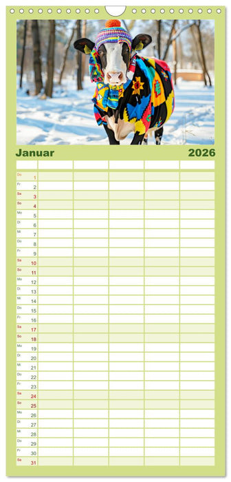 Haute Kuh-ture für das Rind von Welt! Modische Kühe voll im Trend (CALVENDO Familienplaner 2026)