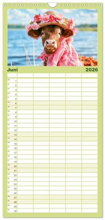 Haute Kuh-ture für das Rind von Welt! Modische Kühe voll im Trend (CALVENDO Familienplaner 2026)