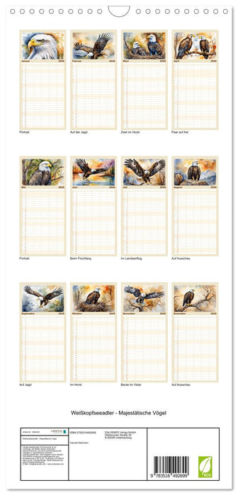 Weißkopfseeadler - Majestätische Vögel (CALVENDO Familienplaner 2026)