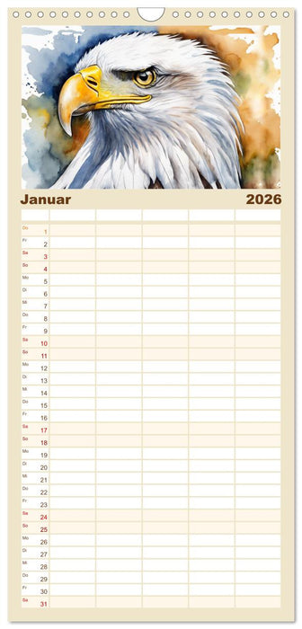 Weißkopfseeadler - Majestätische Vögel (CALVENDO Familienplaner 2026)