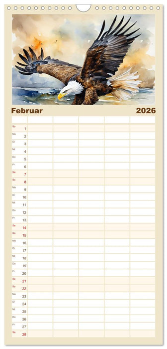 Weißkopfseeadler - Majestätische Vögel (CALVENDO Familienplaner 2026)