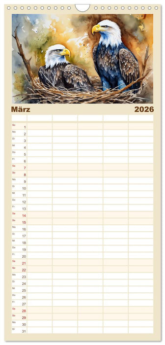 Weißkopfseeadler - Majestätische Vögel (CALVENDO Familienplaner 2026)