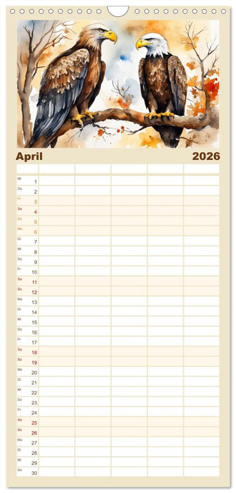 Weißkopfseeadler - Majestätische Vögel (CALVENDO Familienplaner 2026)