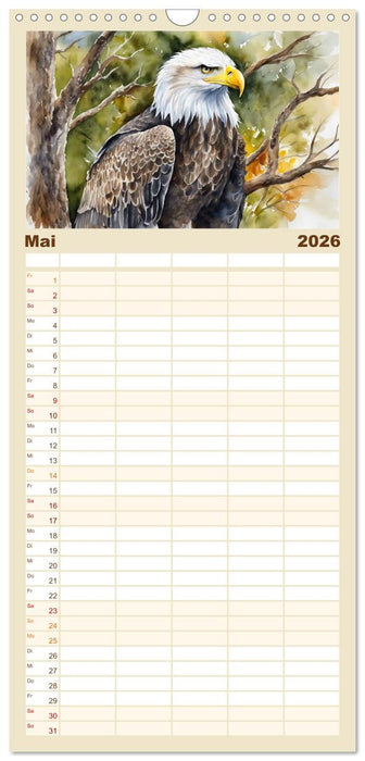 Weißkopfseeadler - Majestätische Vögel (CALVENDO Familienplaner 2026)