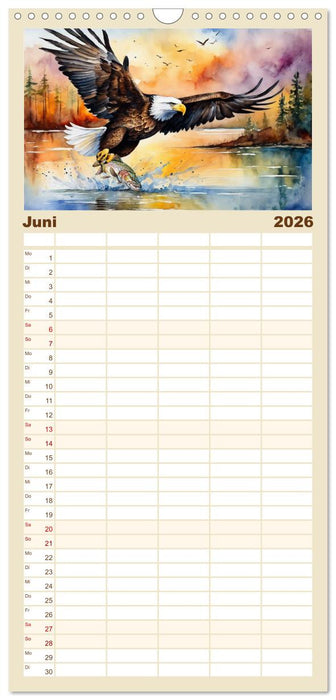 Weißkopfseeadler - Majestätische Vögel (CALVENDO Familienplaner 2026)