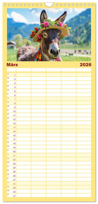 Esel mit Hut! Blumige Eleganz für ein modisches Märchen (CALVENDO Familienplaner 2026)