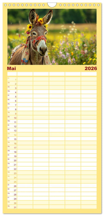 Esel mit Hut! Blumige Eleganz für ein modisches Märchen (CALVENDO Familienplaner 2026)
