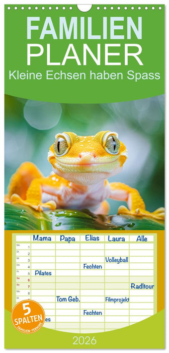 Kleine Echsen haben Spass (CALVENDO Familienplaner 2026)