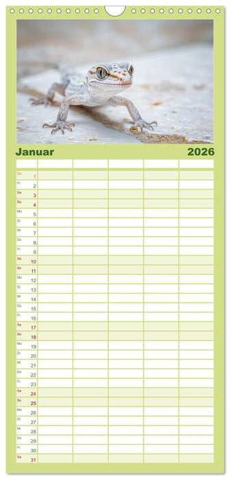 Kleine Echsen haben Spass (CALVENDO Familienplaner 2026)