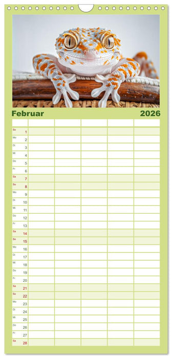 Kleine Echsen haben Spass (CALVENDO Familienplaner 2026)