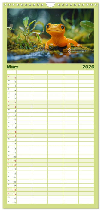 Kleine Echsen haben Spass (CALVENDO Familienplaner 2026)