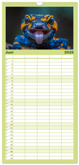 Kleine Echsen haben Spass (CALVENDO Familienplaner 2026)