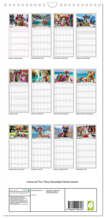 Lamas auf Tour. Perus flauschige Fashion-Ikonen (CALVENDO Familienplaner 2026)