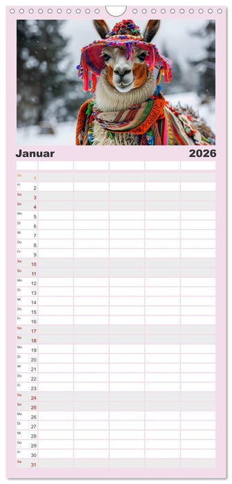 Lamas auf Tour. Perus flauschige Fashion-Ikonen (CALVENDO Familienplaner 2026)