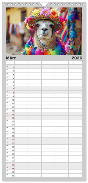 Lamas auf Tour. Perus flauschige Fashion-Ikonen (CALVENDO Familienplaner 2026)