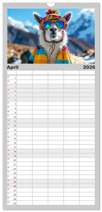 Lamas auf Tour. Perus flauschige Fashion-Ikonen (CALVENDO Familienplaner 2026)