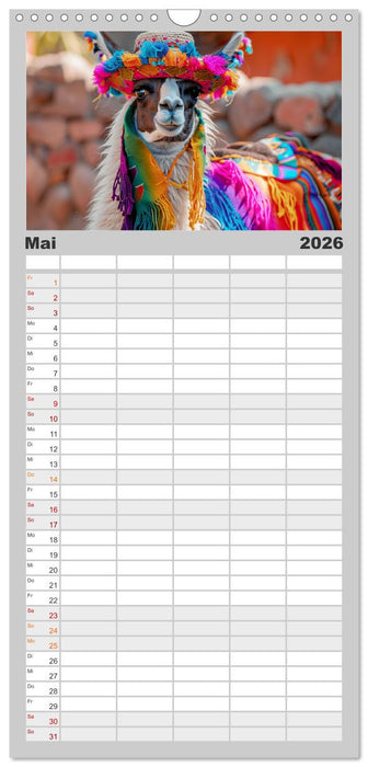 Lamas auf Tour. Perus flauschige Fashion-Ikonen (CALVENDO Familienplaner 2026)