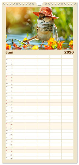 Niedliche Vögel! Trendige Schnabelstars erobern die Modewelt (CALVENDO Familienplaner 2026)