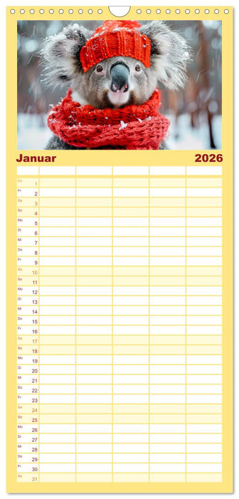 Koalas im Modefieber. Flauschig und Chic beim Fotoshooting (CALVENDO Familienplaner 2026)