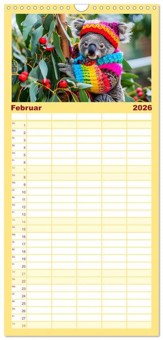 Koalas im Modefieber. Flauschig und Chic beim Fotoshooting (CALVENDO Familienplaner 2026)