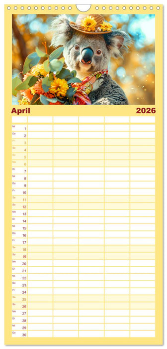 Koalas im Modefieber. Flauschig und Chic beim Fotoshooting (CALVENDO Familienplaner 2026)