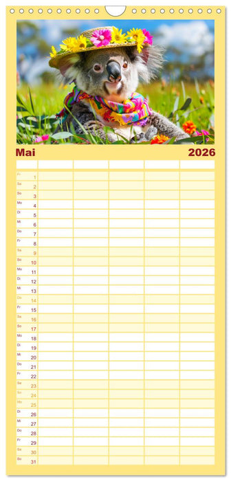 Koalas im Modefieber. Flauschig und Chic beim Fotoshooting (CALVENDO Familienplaner 2026)