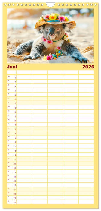 Koalas im Modefieber. Flauschig und Chic beim Fotoshooting (CALVENDO Familienplaner 2026)