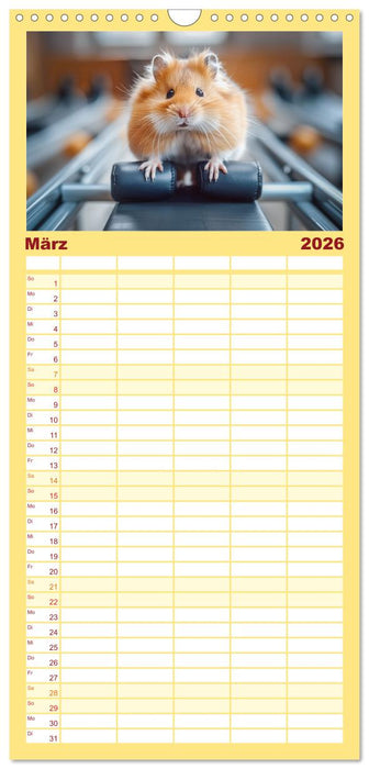 Lustige Hamster (CALVENDO Familienplaner 2026)