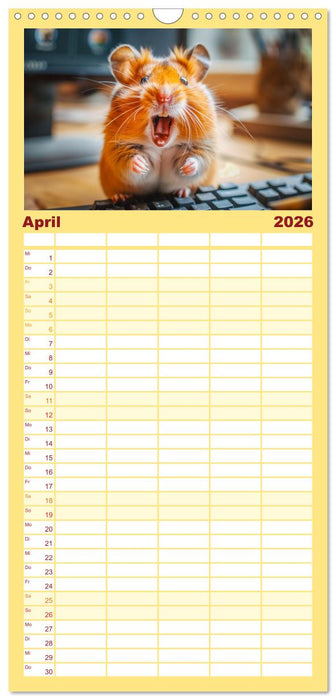 Lustige Hamster (CALVENDO Familienplaner 2026)