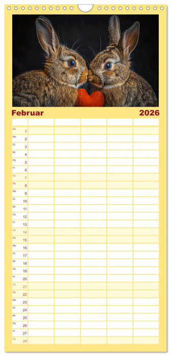 Lustige Hasengeschichten (CALVENDO Familienplaner 2026)